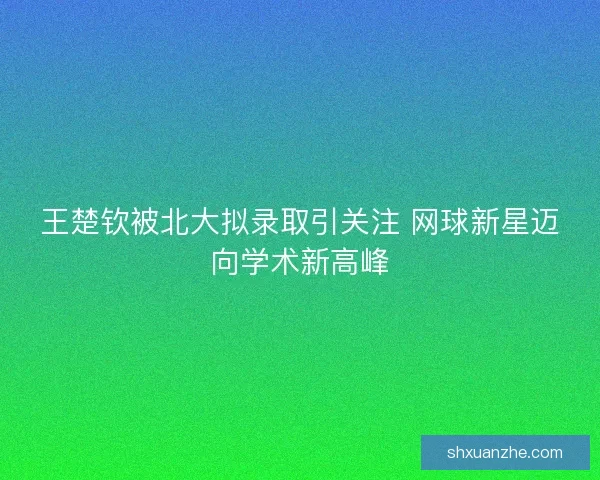 王楚钦被北大拟录取引关注 网球新星迈向学术新高峰