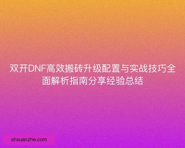 双开DNF高效搬砖升级配置与实战技巧全面解析指南分享经验总结 双开DNF高效搬砖升级配置与实战技巧全面解析指南分享经验总结